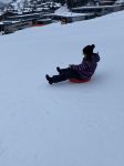 Img 0251