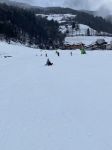 Img 0290