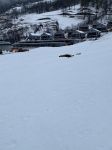 Img 0354