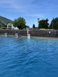 Img 2862