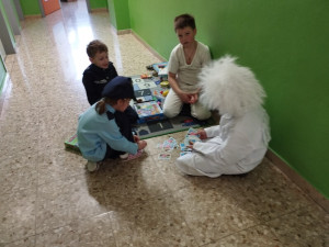 Img 20250304 103637