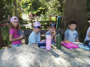 Img 20250620 093106