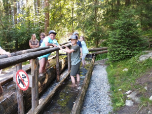Img 20250620 095152