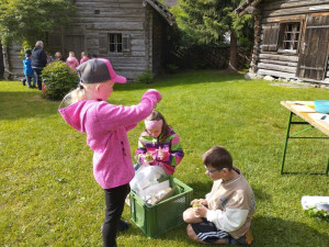 Img 20250520 091505