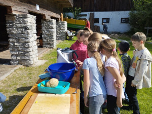 Img 20250520 095138