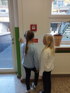 Img 20250326 095312
