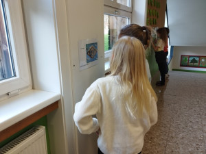 Img 20250326 095413
