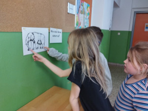 Img 20250326 095533