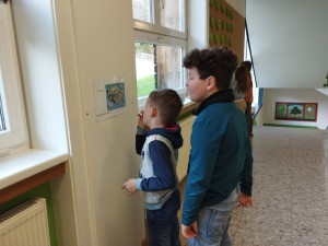 Img 20250326 095605