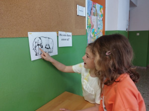 Img 20250326 095705