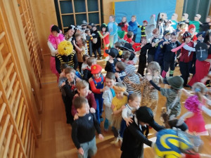 Img 20250304 093802