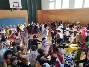 Img 20250304 093811