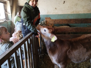 Img 20251113 104420 1