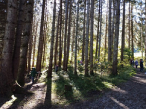 Img 20251013 105758