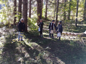 Img 20251013 110019